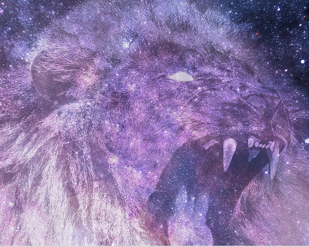 New Moon in Leo 8/8/21