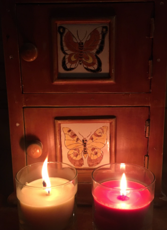 The Nature Of Twin Flames