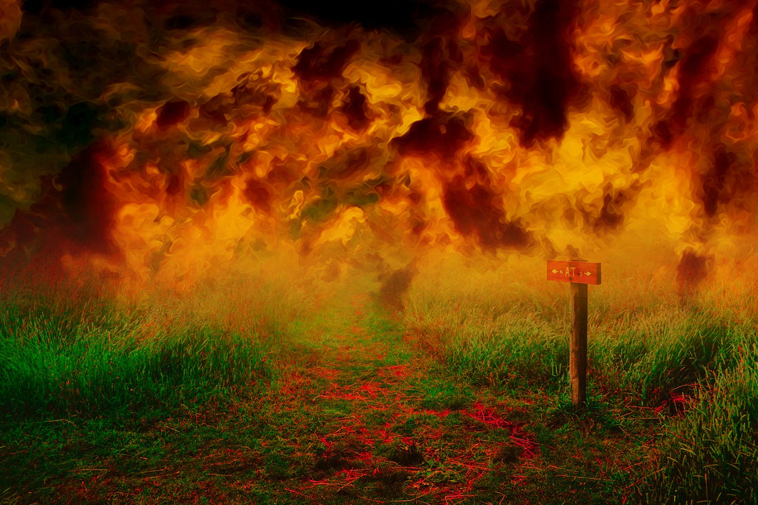 Hell Bent and Primal Fire
