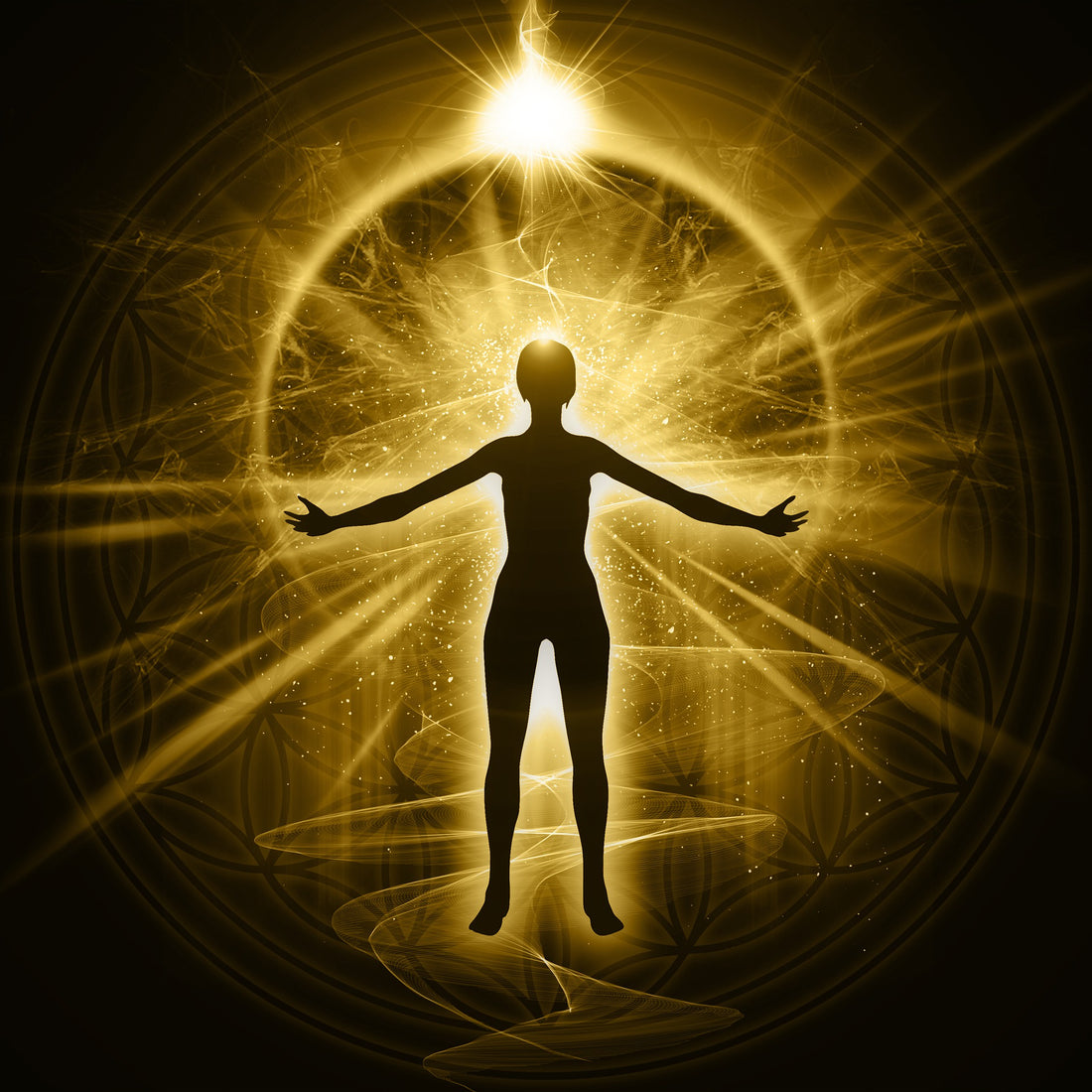 Scorpio New Moon - The Wake World