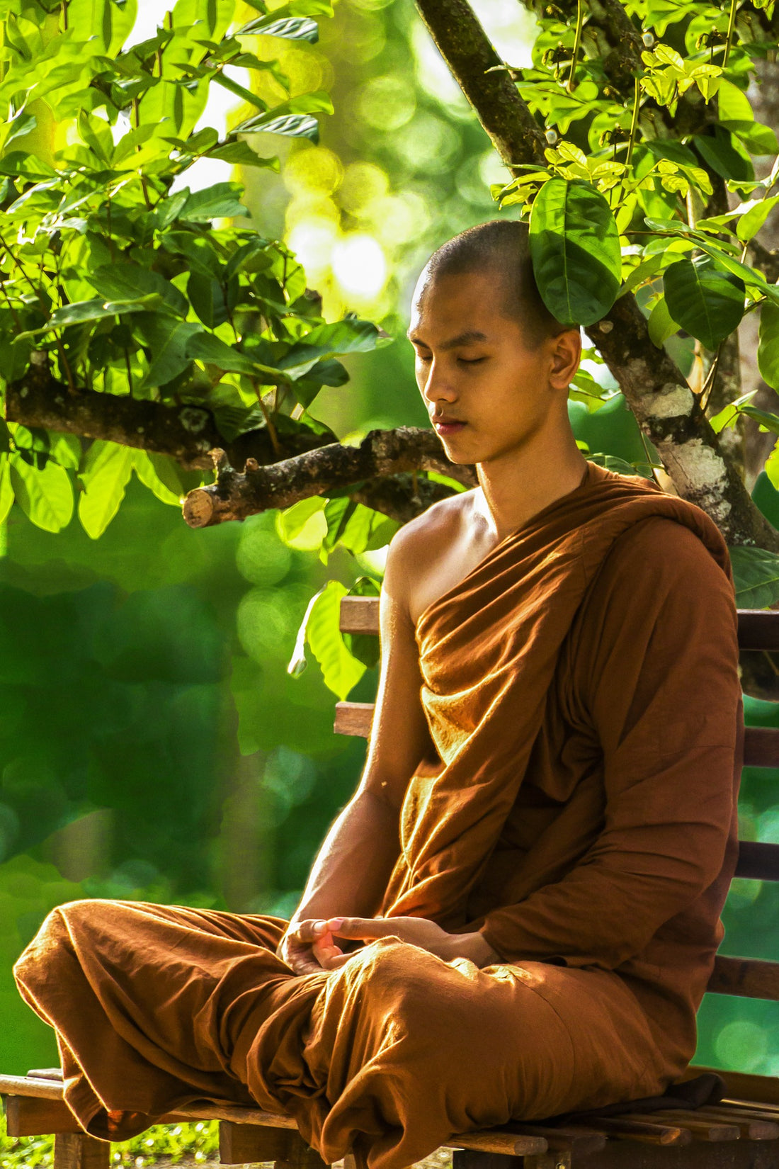 Meditation for Beginners Workshop